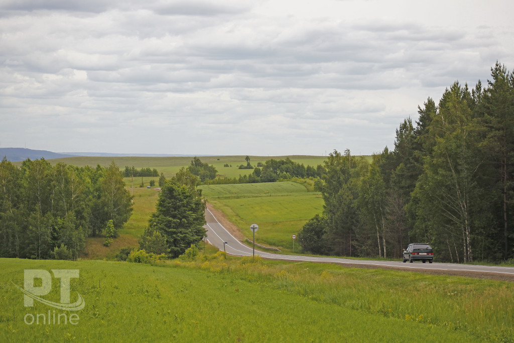 Дорога_просторы_A8G9923