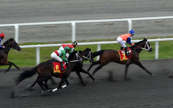 конноспортивный-праздник