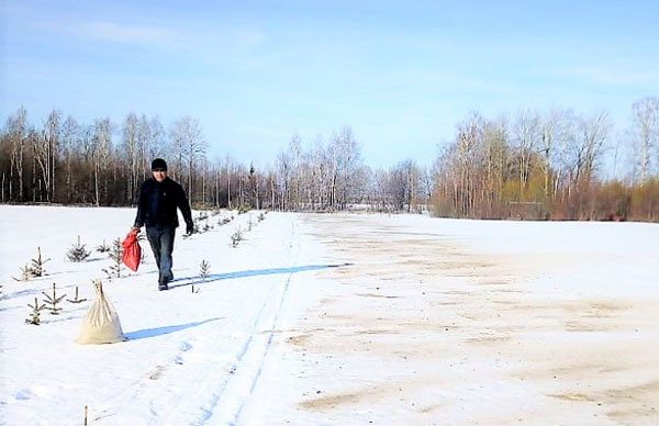 чернение-снега