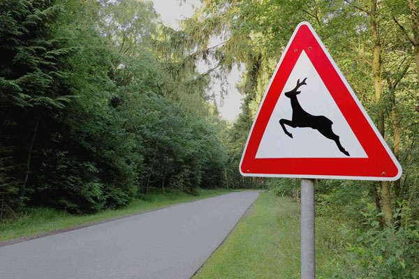 знак-животные