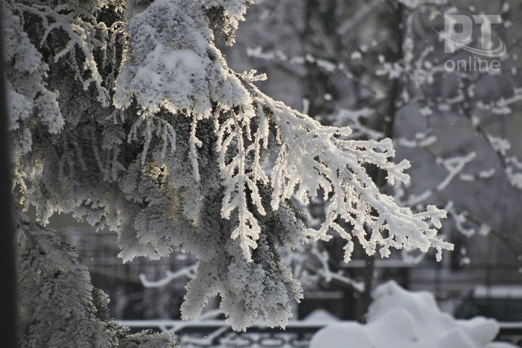 Солнечный иней_A8G3928