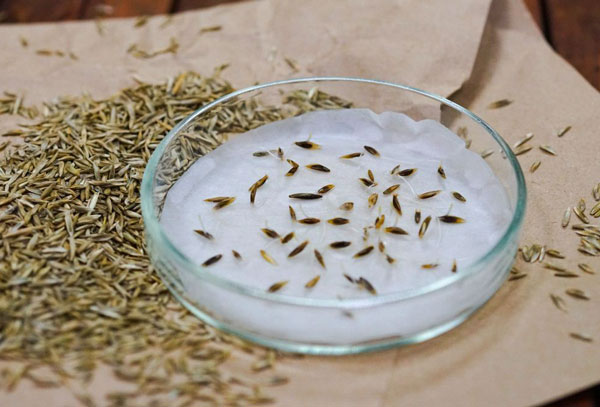 Таможенный-контроль