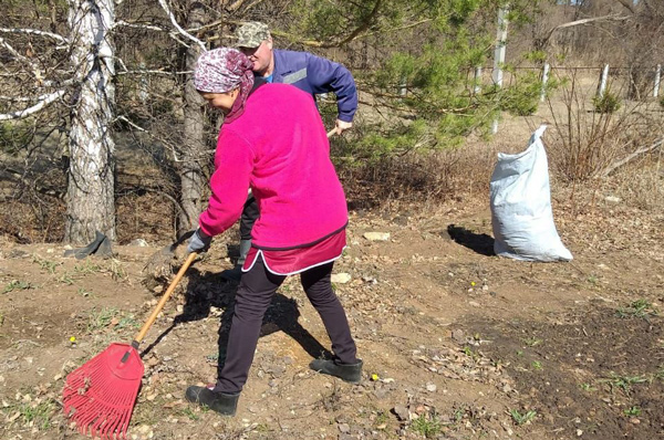уборка-в-лесу