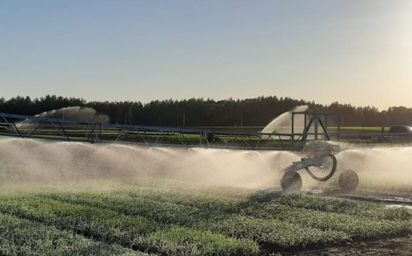 мелеорация