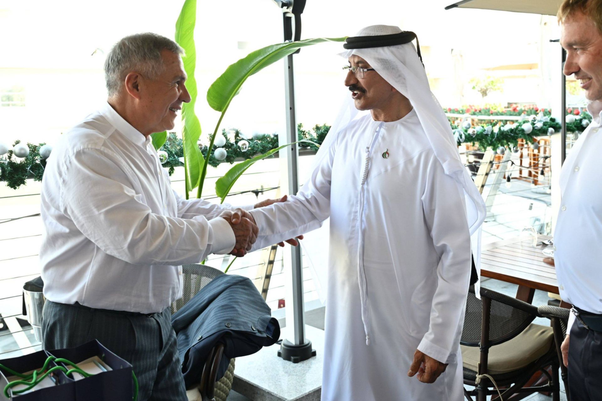 Вопросы трансграничной торговли с ОАЭ обсудили Раис Татарстана и глава компании DP World