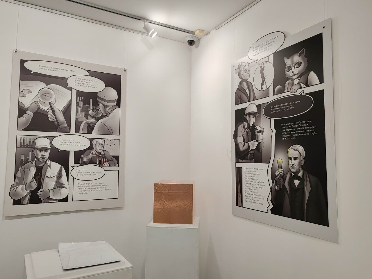 Следствие ведет музейный кот: в Свияжске открылась выставка «Расскажи мне, что случилось?»