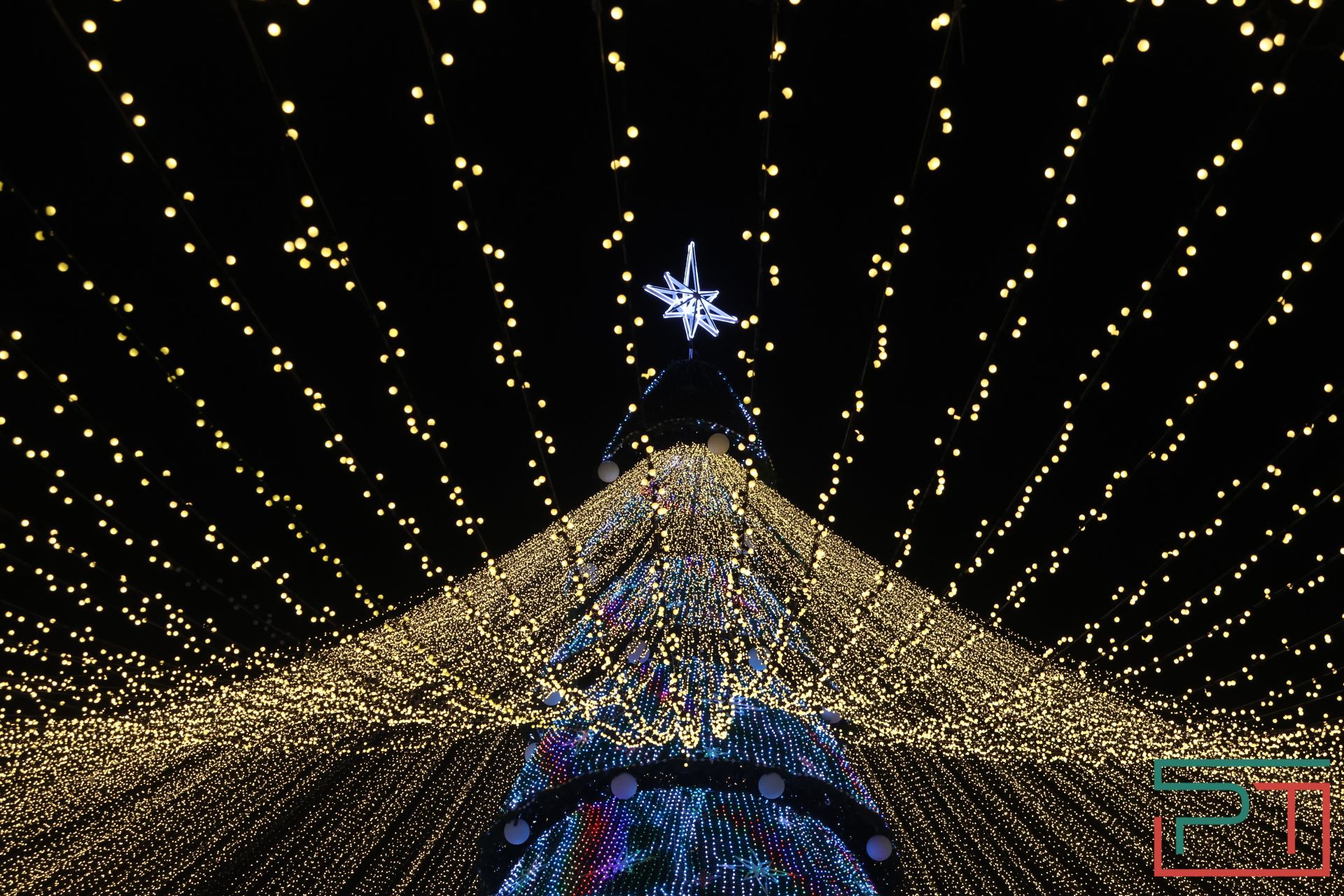 Открытие главной елки Казани