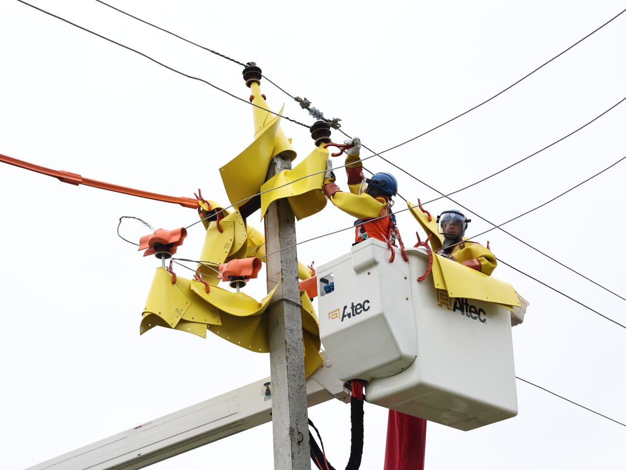 «Сетевая компания»: дополнительные услуги становятся приоритетом развития энергетики