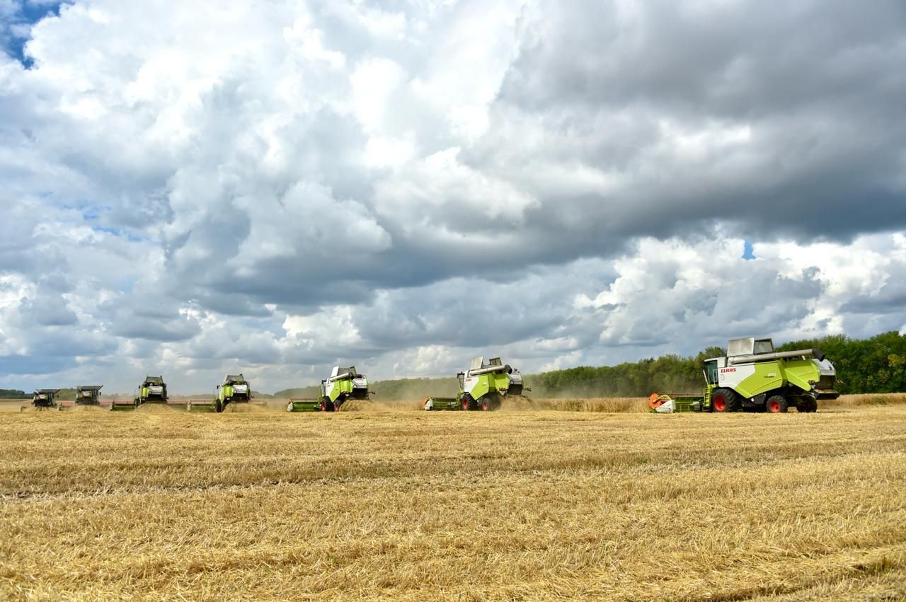 Витамины из пшеницы, топливо из конопли: как мегапроекты изменят аграрную сферу Татарстана