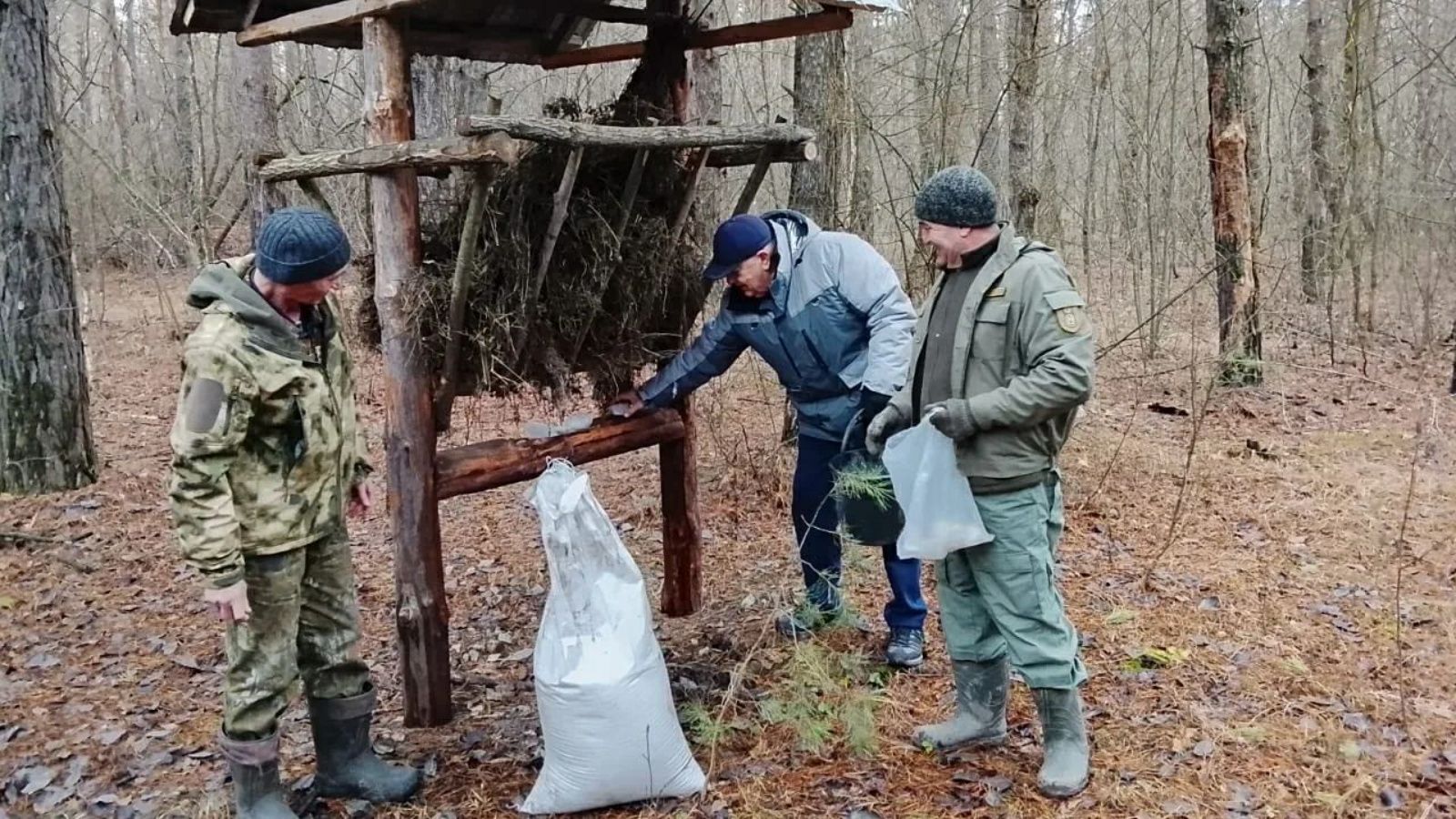 Сотрудники Госкомитета РТ по биоресурсам помогают зверям пережить аномальную зиму