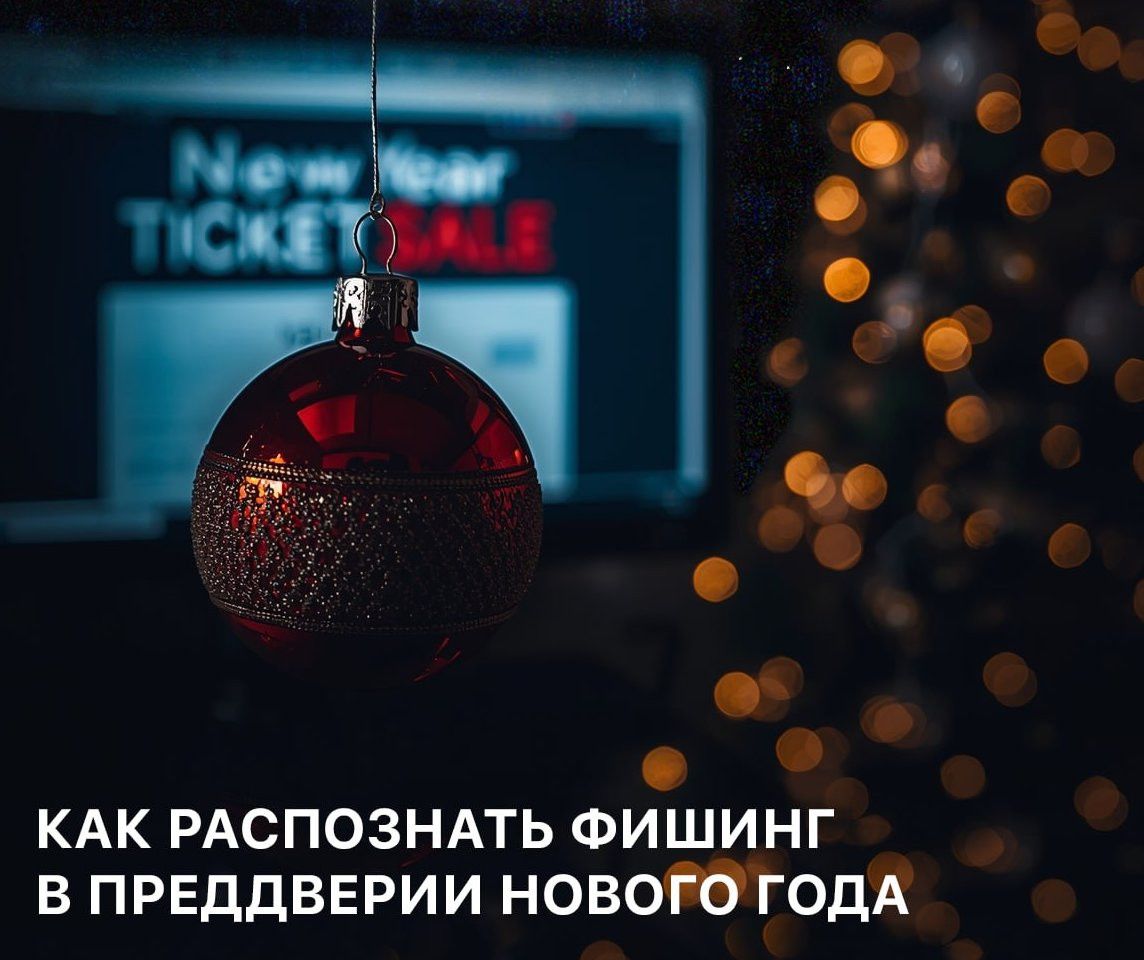 В преддверии новогодних распродаж в России растет активность мошенников