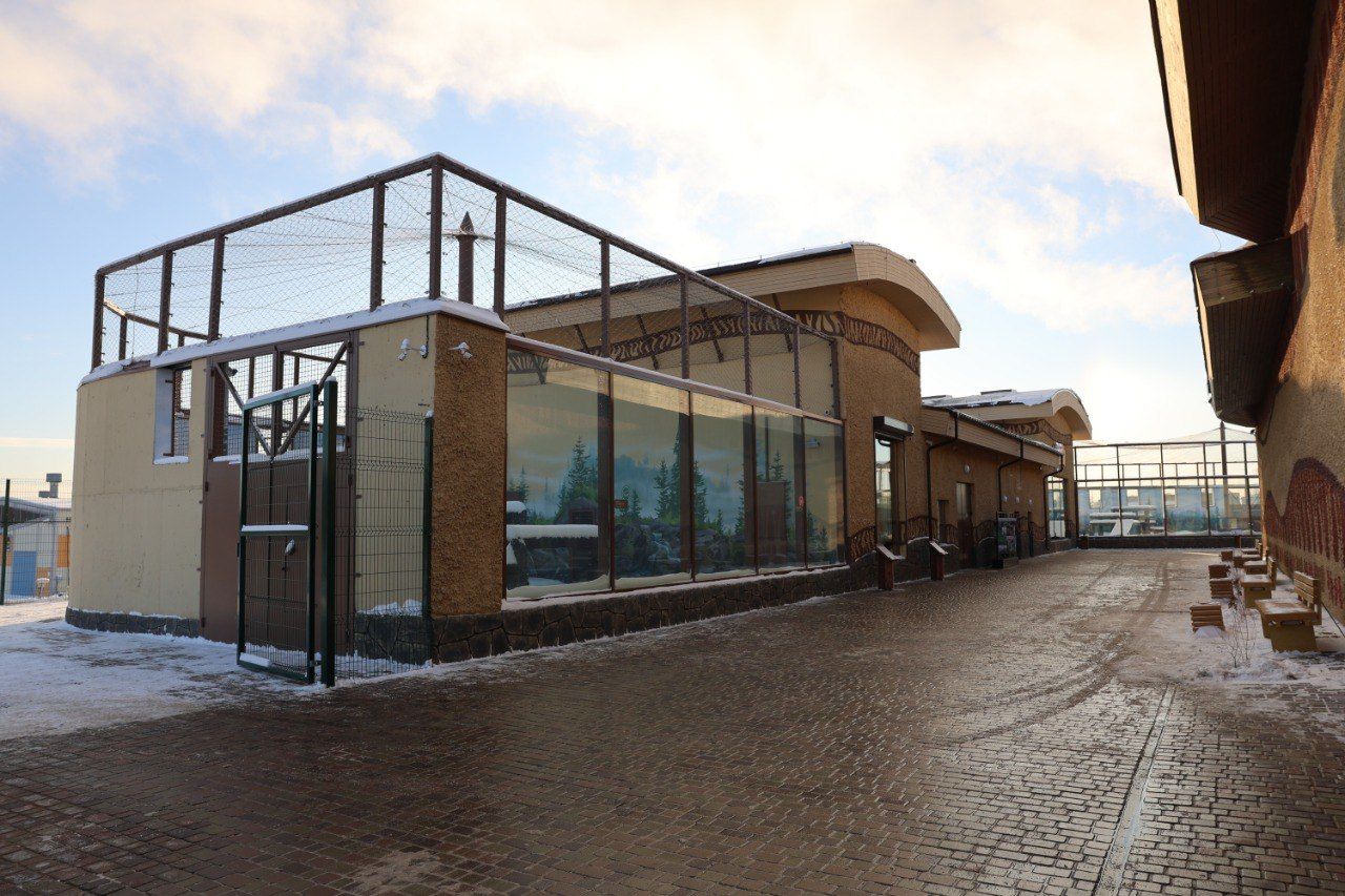 Росреестр: дом для тигров в Казанском зоопарке поставлен на кадастровый учет