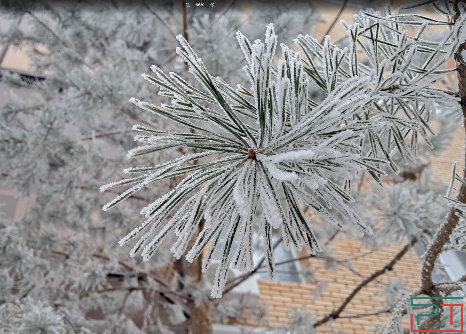 В ночь на 16 января в Татарстане ожидается мороз до минус 27 градусов