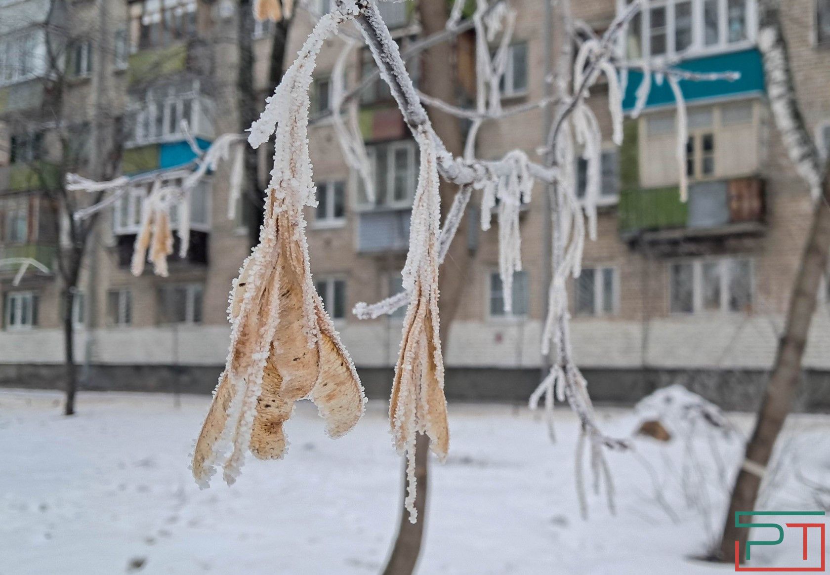 В ночь на 24 января в Татарстане ожидается мороз до минус 35 градусов