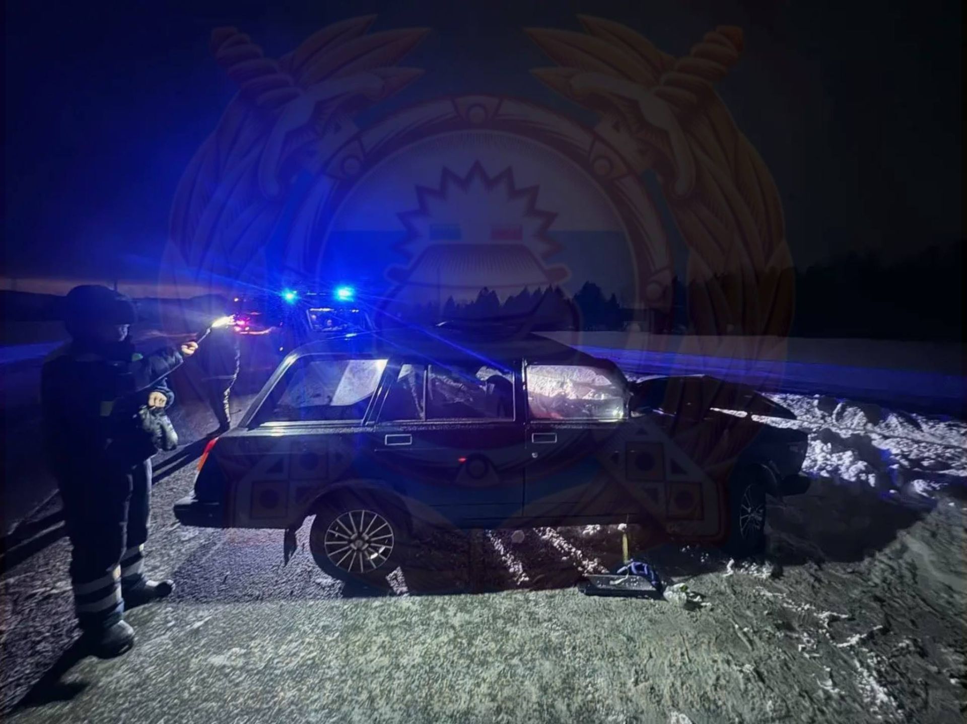 В Альметьевском районе пожилой водитель погиб, сбив теленка на дороге