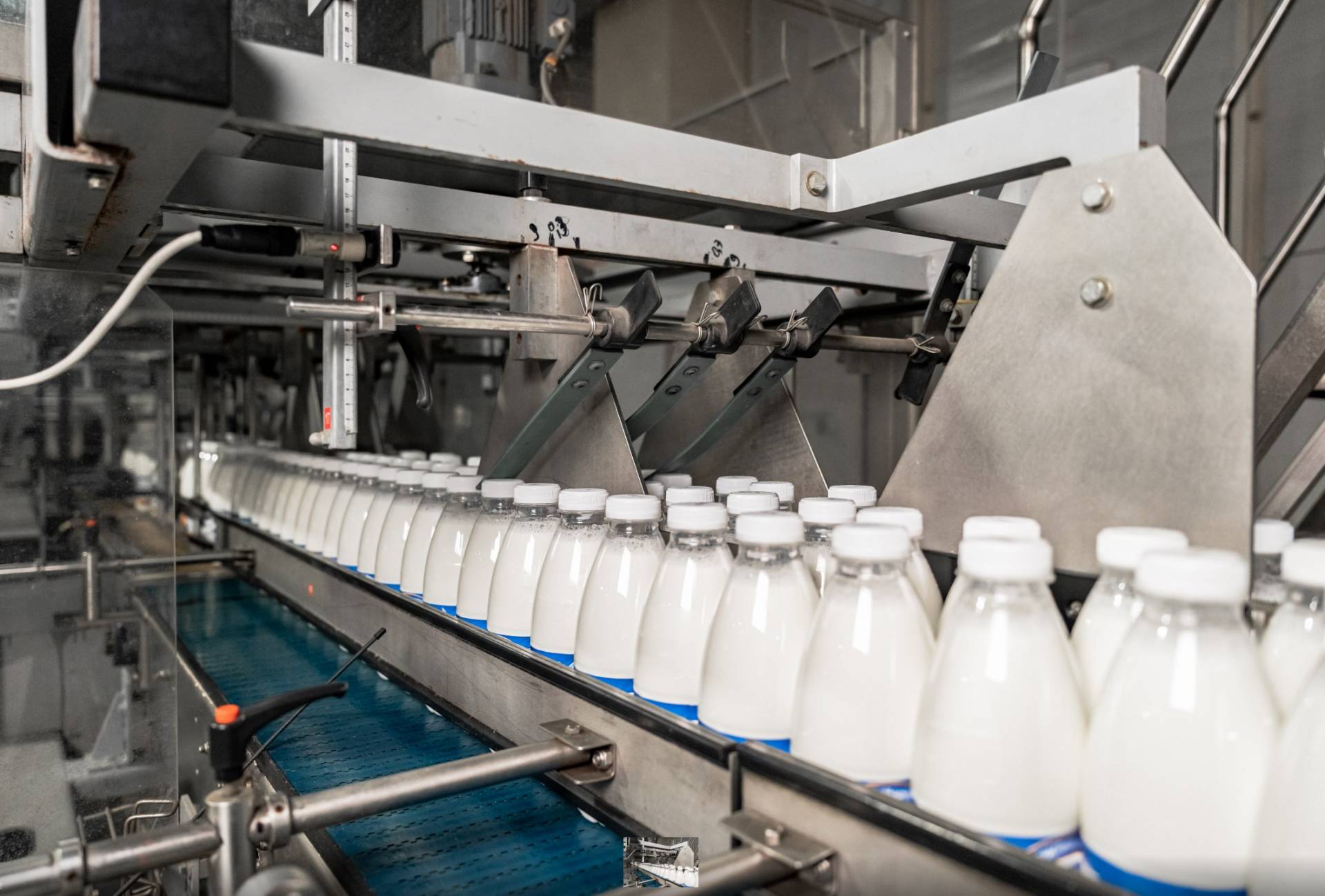 В Казани построят цех сухого молока за один миллиард рублей