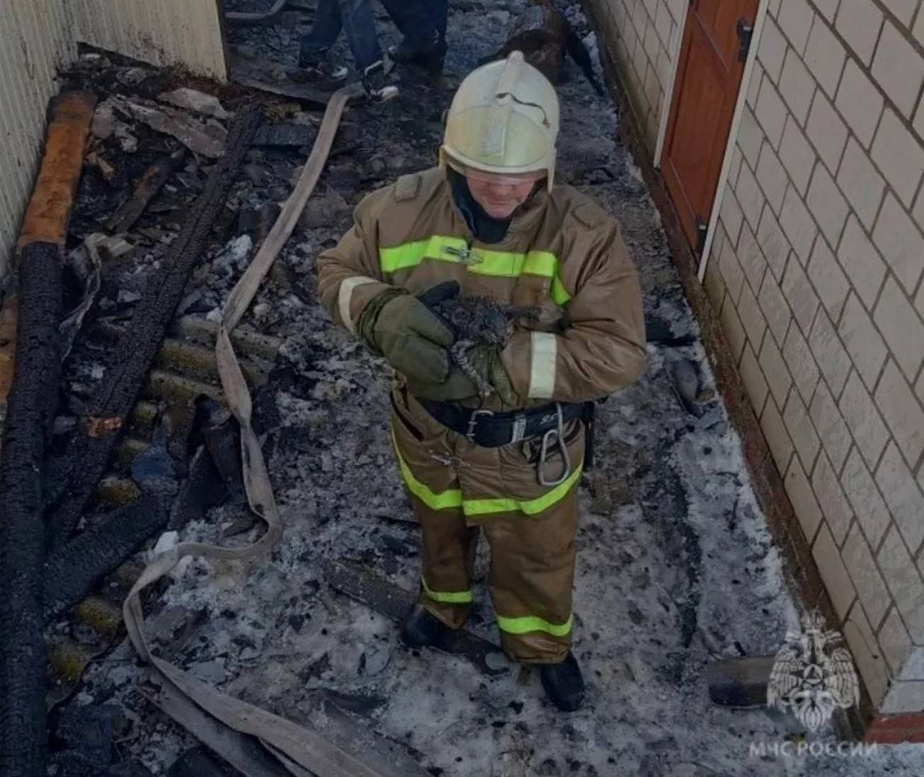 При тушении пожара в Тюлячинском районе огнеборцы спасли кота