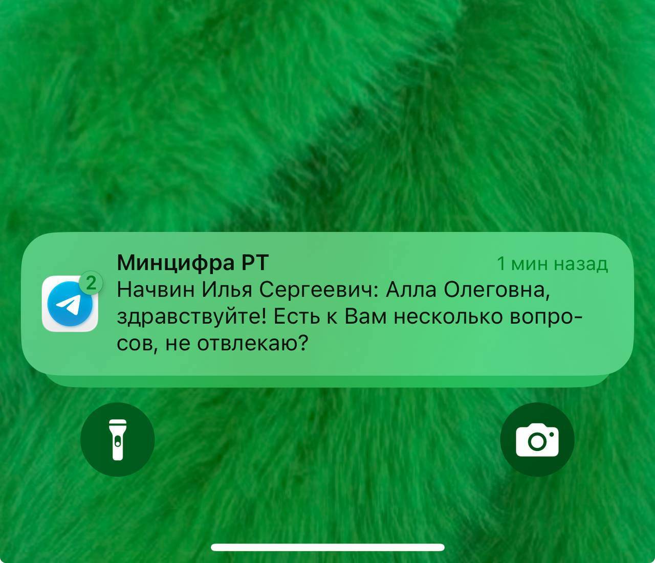 Мошенники начали писать пользователям Telegram от имени главы Минцифры Татарстана