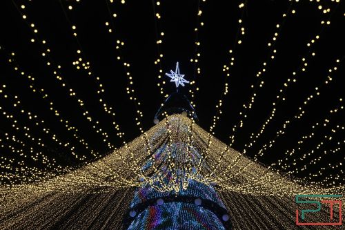 Открытие главной елки Казани