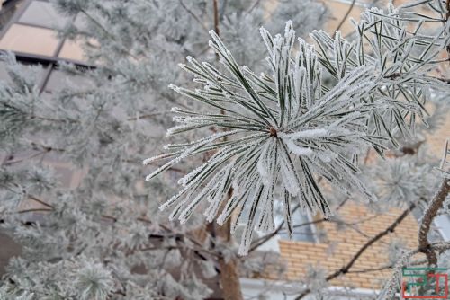 В ночь на 24 декабря в Татарстане температура понизится до минус 32 градусов