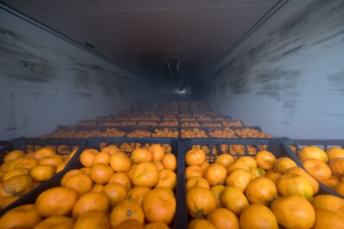 Из Казани в Лисичанск и Рубежное отправилась фура с 18 тоннами мандаринов