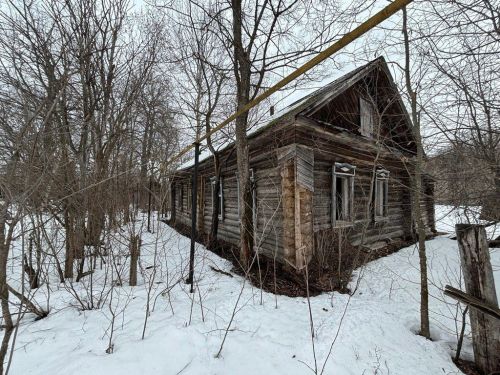 Избинг в лесной глуши: татарстанец превратит заброшенный поселок в рай для туристов