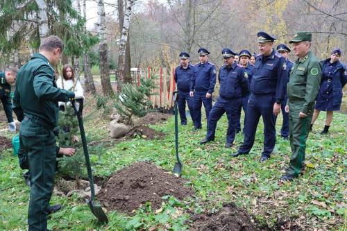 «Сохраним лес»: более 40 елей и рябин высадили на Голубых озерах под Казанью