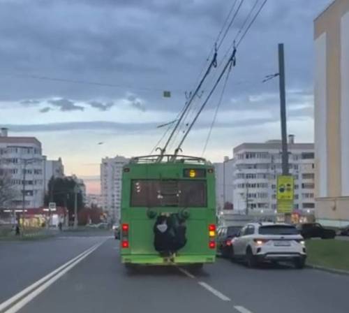 Подростки-зацеперы в Казани катались на троллейбусе - полиция начала проверку