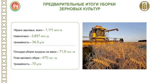 В Татарстане намолочено 3,8 млн тонн зерна