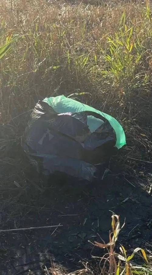 Двое мужчин с почти 1 кг марихуаны задержаны на трассе в Татарстане
