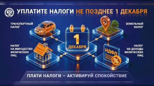 Татарстанцам напомнили о необходимости уплатить налоги до 1 декабря
