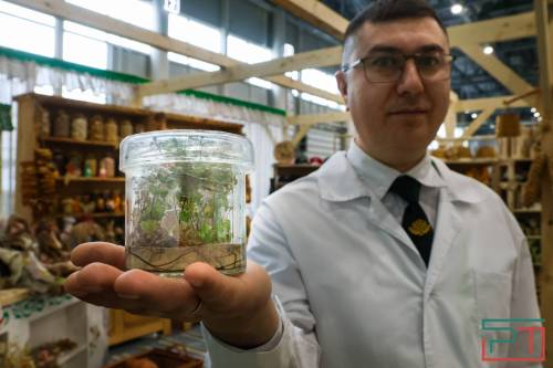 Выставка «Казань Агро – 2026» стартовала в Казани