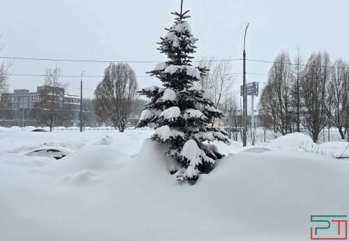 За половину февраля в Казани выпало больше 120% месячной нормы снега