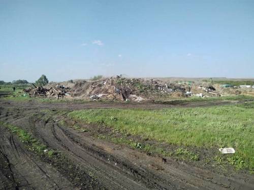 Крупную свалку в Апастовском районе ликвидируют за «зеленые» деньги