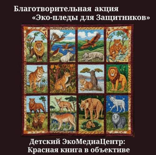 Татарстанцы могут помочь в изготовлении тысячи экопледов для участников СВО