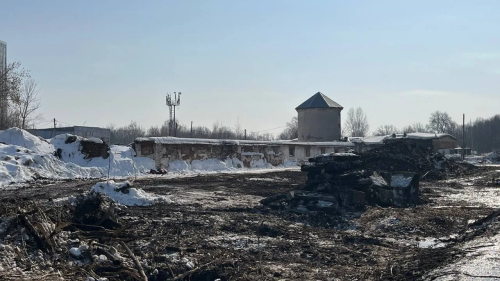 Комитет по охране ОКН о вырубке деревьев на «Ферме-2»: застройщик имеет все необходимые разрешения