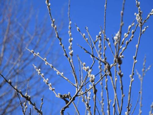 В Казани побит температурный рекорд 2020 года