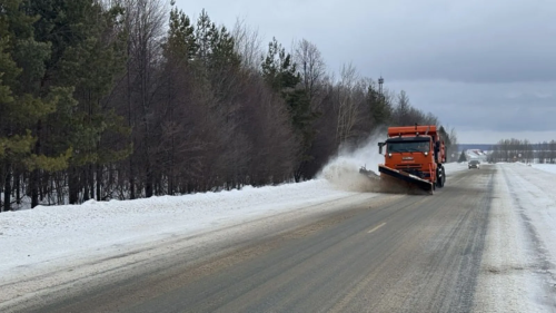 На региональных дорогах Татарстана работают почти 500 единиц снегоуборочной техники