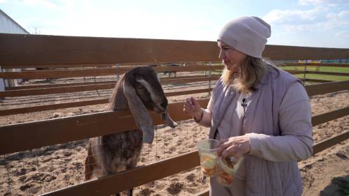 Редкие животные со всего света и свой виноградник: какие диковинки предлагает экотуристам Татарстан