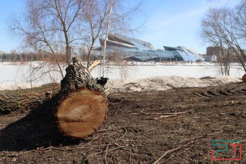 «Не трогали бы ивы – не было бы скандала»: казанцев возмутила вырубка деревьев на Кабане