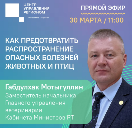 Татарстанцам в прямом эфире расскажут об инфекционных заболеваниях животных и птиц