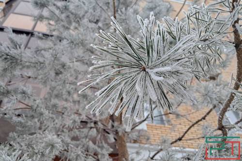 Татарстанцев предупредили об аномальном морозе до −34 градусов