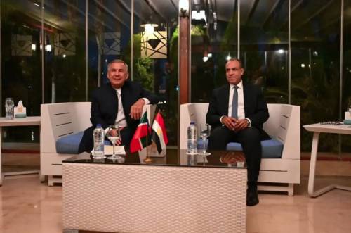 Рустам Минниханов в Египте встретился с министром иностранных дел страны