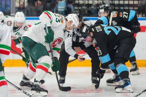 «Есть план спасения»: «Динамо» приготовил сюрпризы казанскому «Ак Барсу»