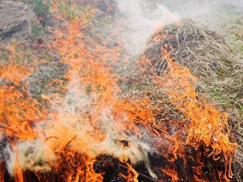 Казанцам нельзя, а челнинцам можно: кому запретят жарить шашлыки на майские праздники