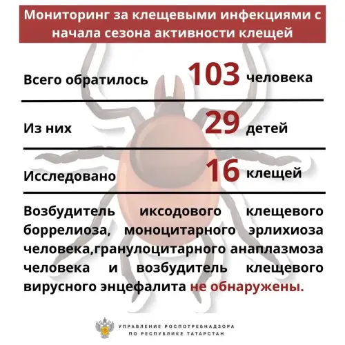 Более 100 татарстанцев обратились в больницы с укусами клещей