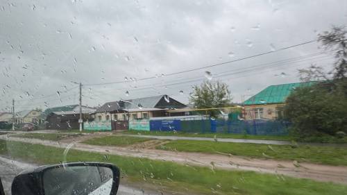 Лапки вперед – и ждет: погубят ли холода разбушевавшихся клещей в Татарстане