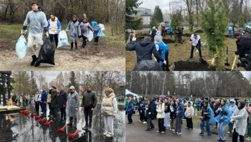 На субботнике в Казани высадили 70 кедров