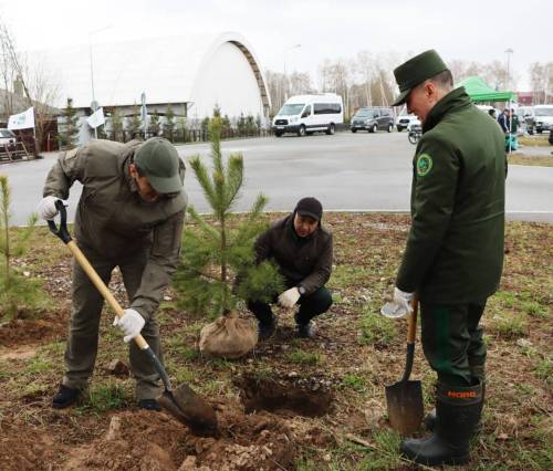 В Татарстане посадили 1 миллион саженцев в рамках Международной акции «Сад памяти»