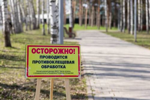 Парки Альметьевска 27 апреля обработают от клещей